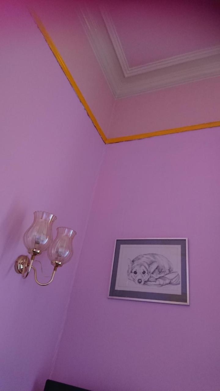 Couette-café Swan Lake 3*